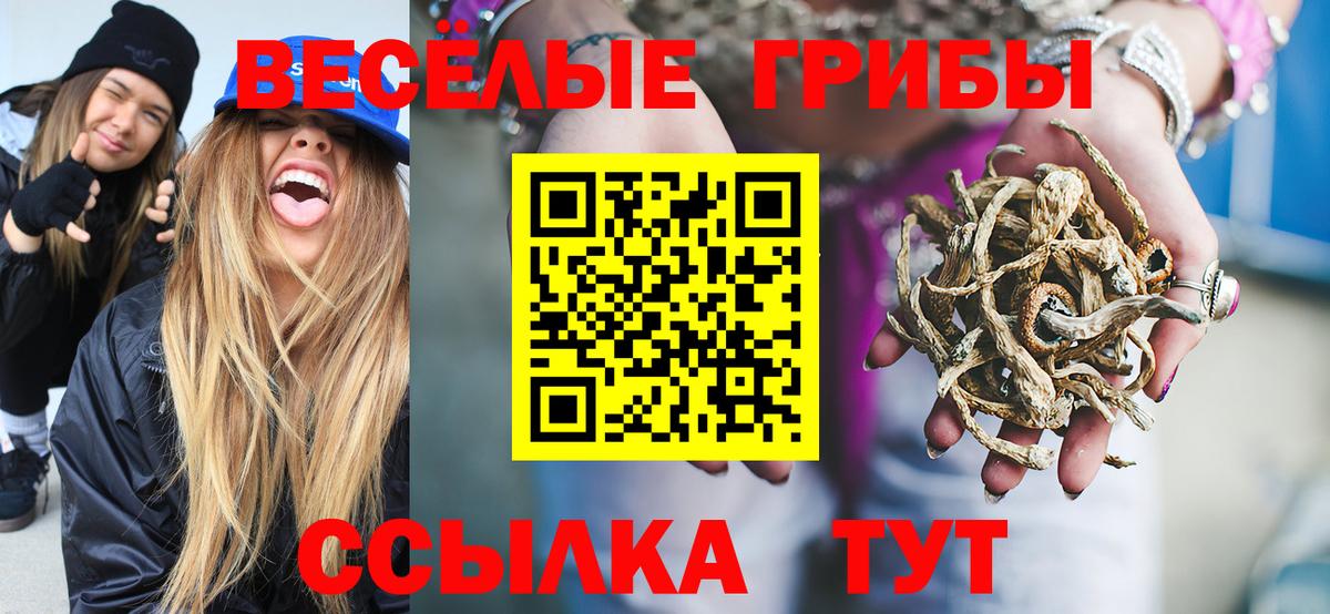 Галлюциногенные грибы мухоморы Сергиев Посад