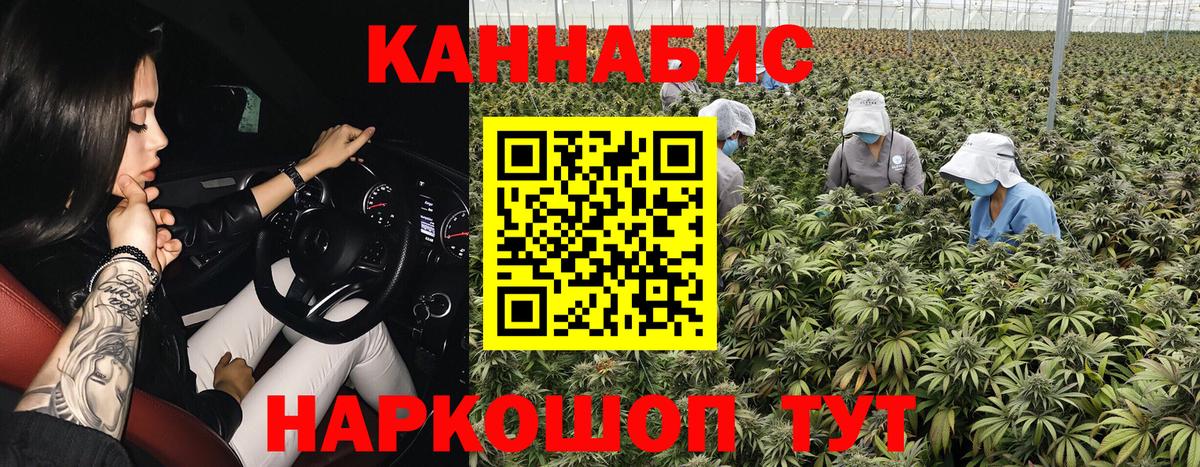 Бошки Шишки гибрид Сергиев Посад